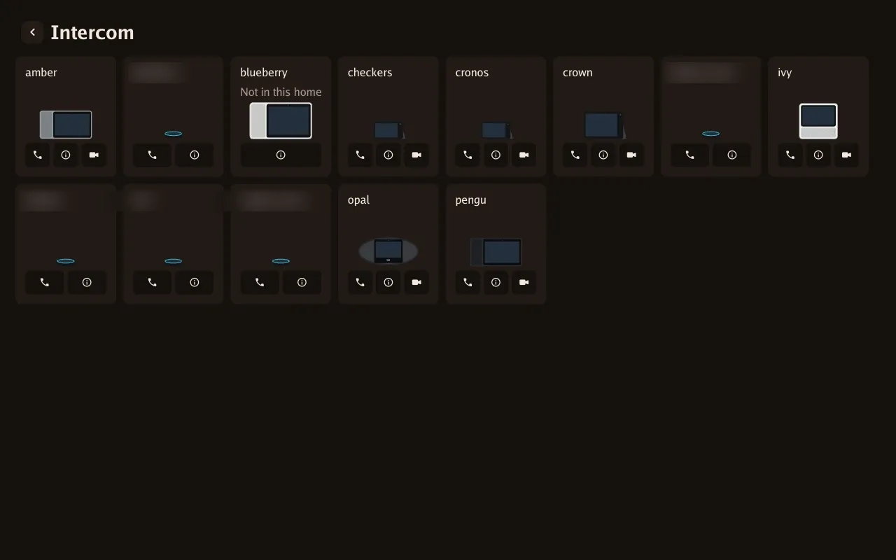 Intercom directory: LANovo and EchoLocal devices together, with audio and video call controls.