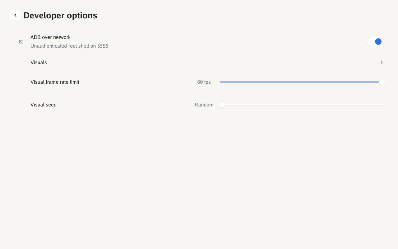 Developer options on an Echo Show 8