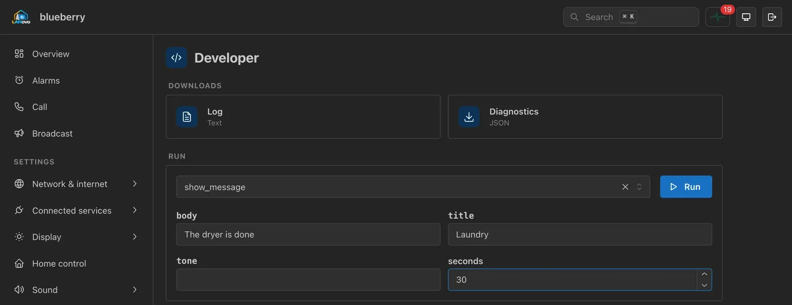 The Developer page: log and diagnostics downloads, and an action ready to run