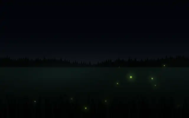 The Fireflies visual
